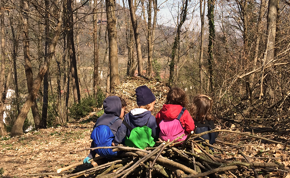 img home scuola nel bosco torreglia 