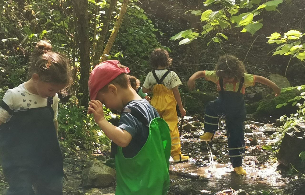 img home scuola nel bosco torreglia