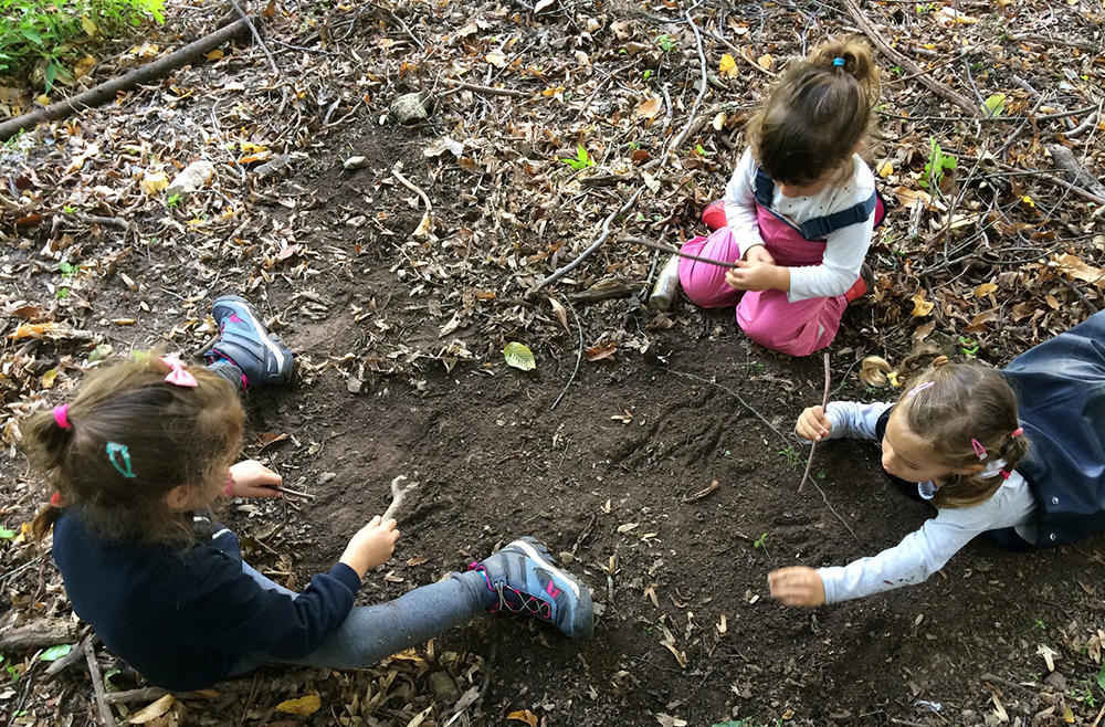 img home scuola nel bosco torreglia07