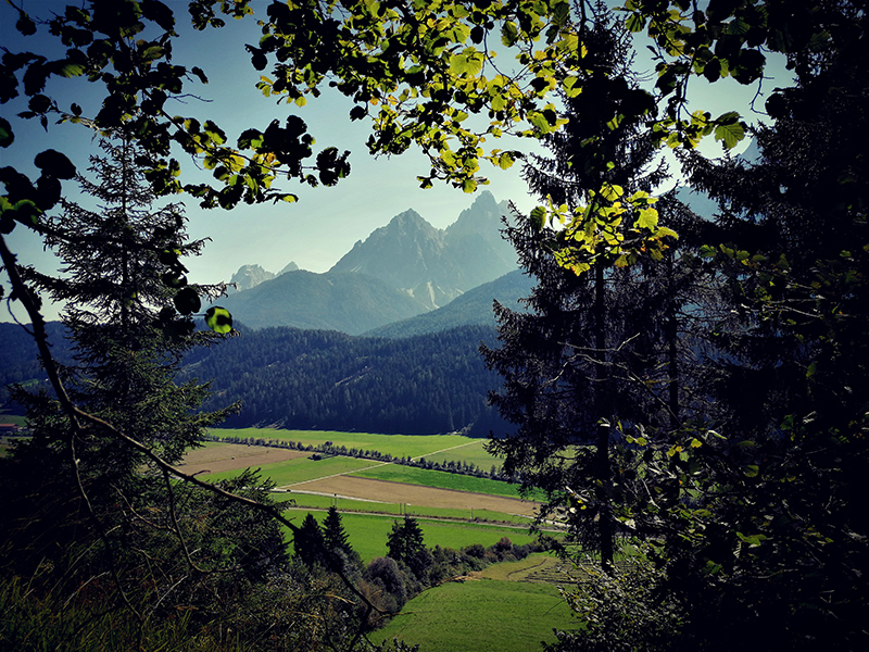 img home waldindergarten innichen03