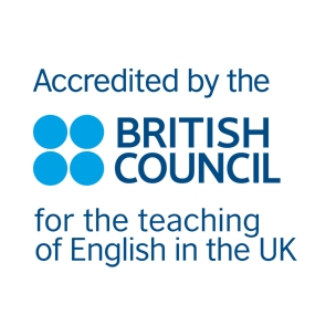 nile british council logo